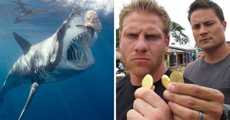 all discovery channel shows are fake